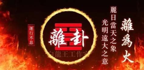 九运生意|九离火运